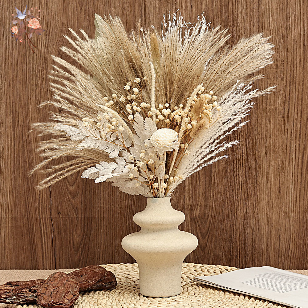 Dried Pampas Bundle - 40 Pezzi Ance di Pampa Secche