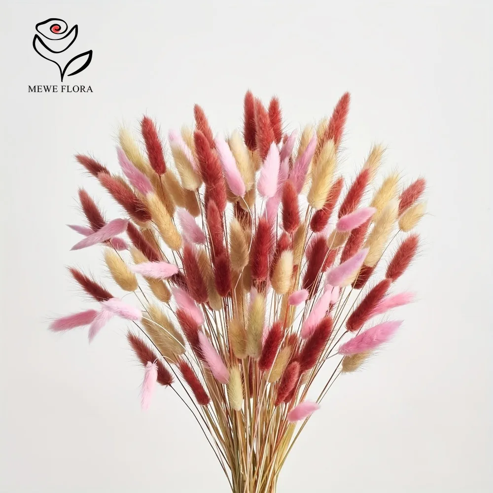 Dried Pampas Bundle - 90 pezzi misti 3 colori coda