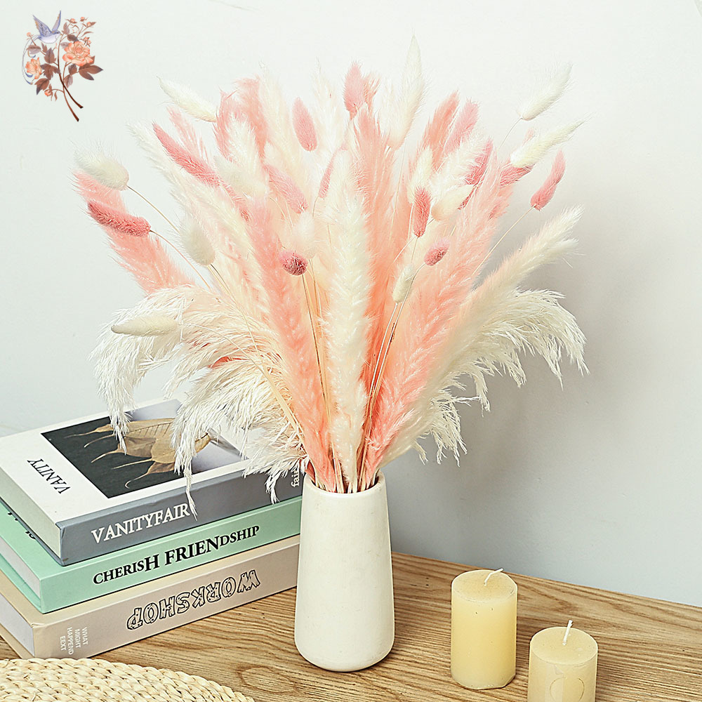 Dried Pampas Bundle - 62 Pezzi Ance Bianche Code di