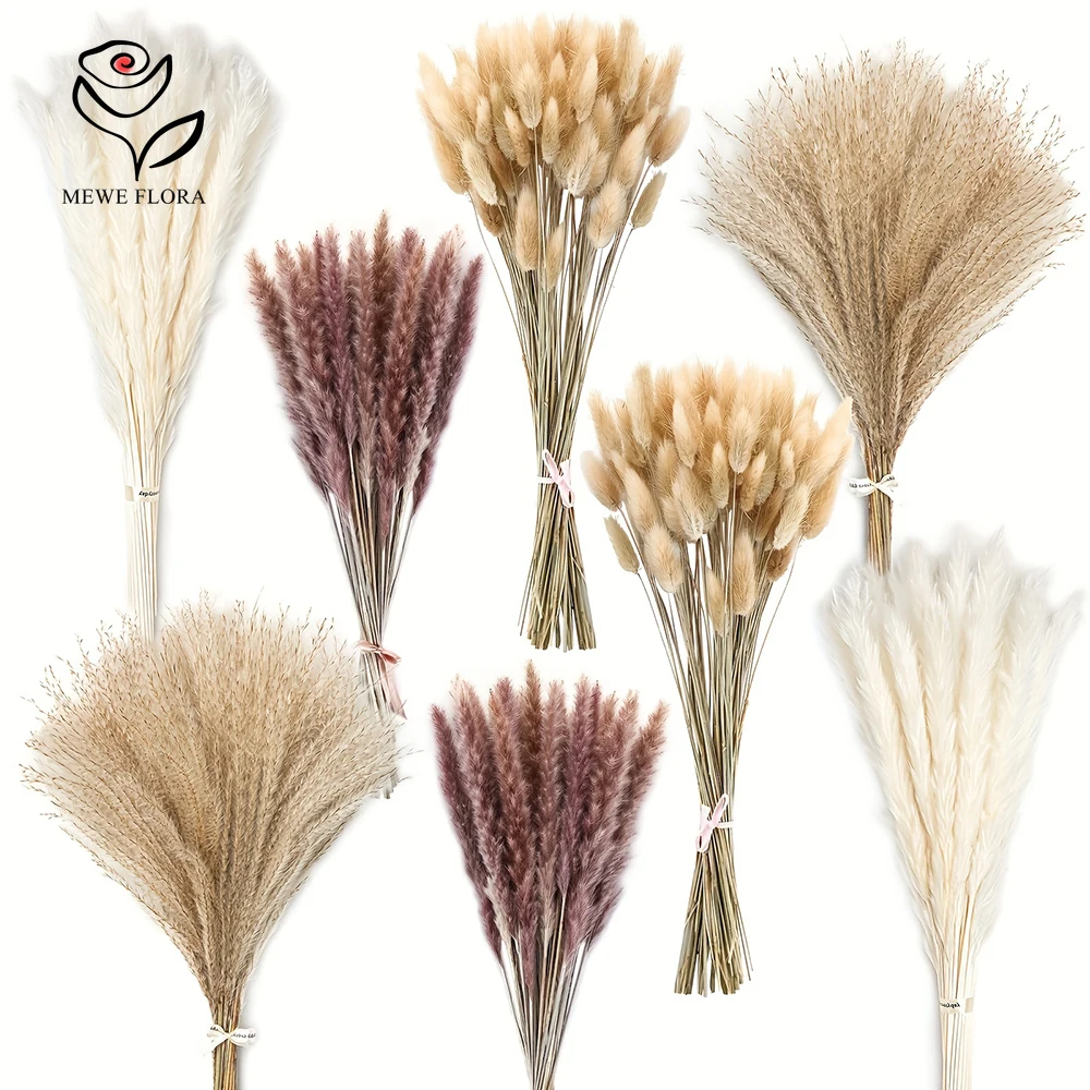 Dried Pampas Bundle - 200 pezzi di coda di coniglio