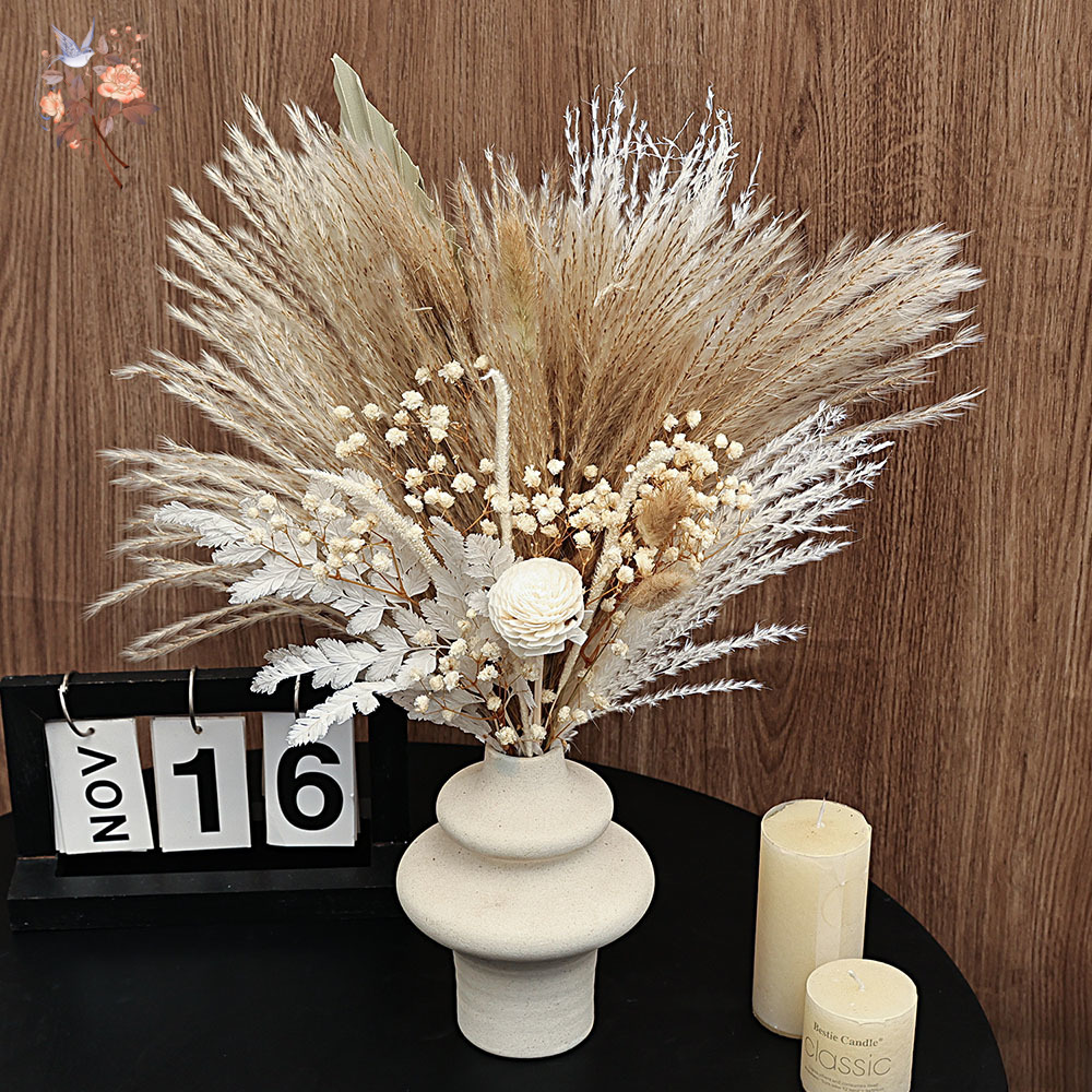 40 Pezzi Ance di Pampa Secche  - Dried Pampas Bundle recensione e prezzo