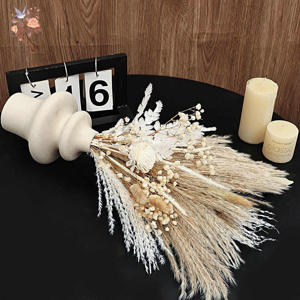 40 Pezzi Ance di Pampa Secche  - Dried Pampas Bundle recensione e prezzo