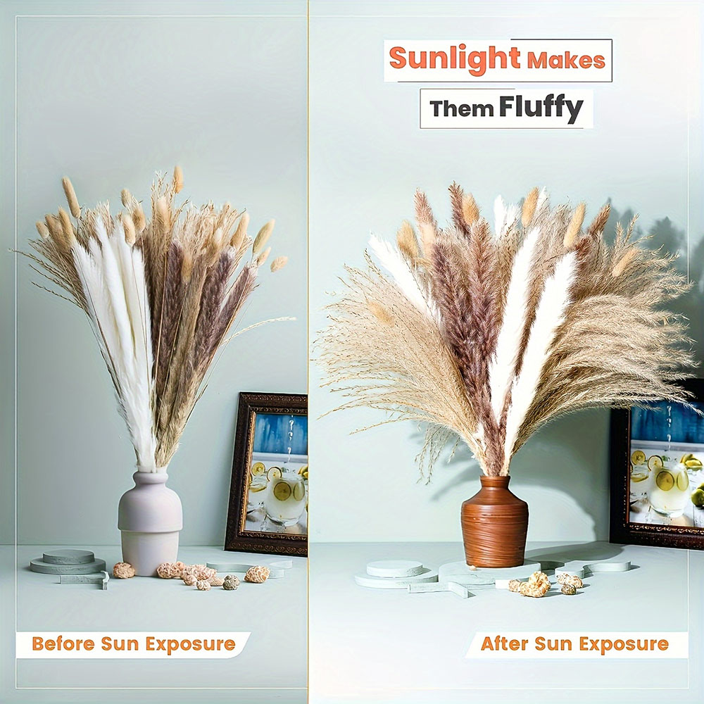 Bouquet di Fiori Secchi Misti  - Dried Pampas Bundle recensione e prezzo