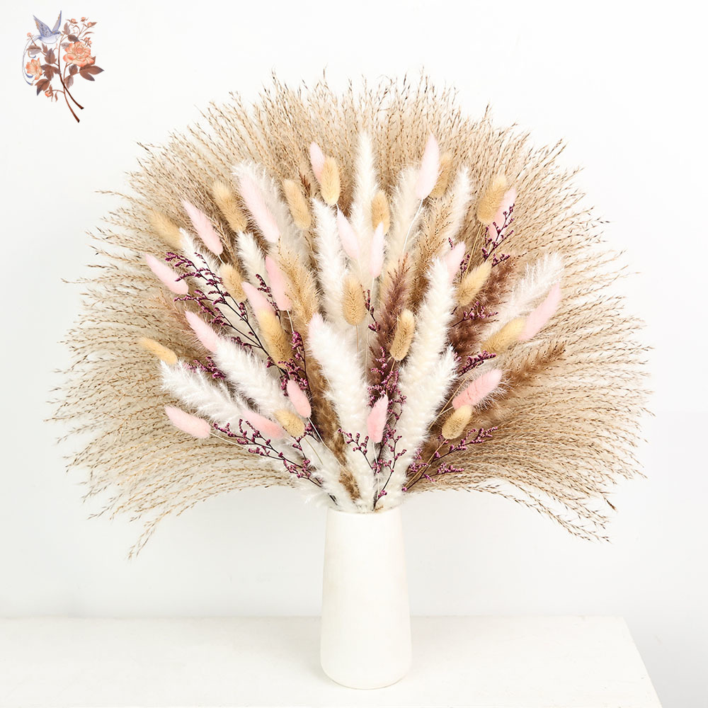 Soffici code di coniglio di pa - Dried Pampas Bundle recensione e prezzo