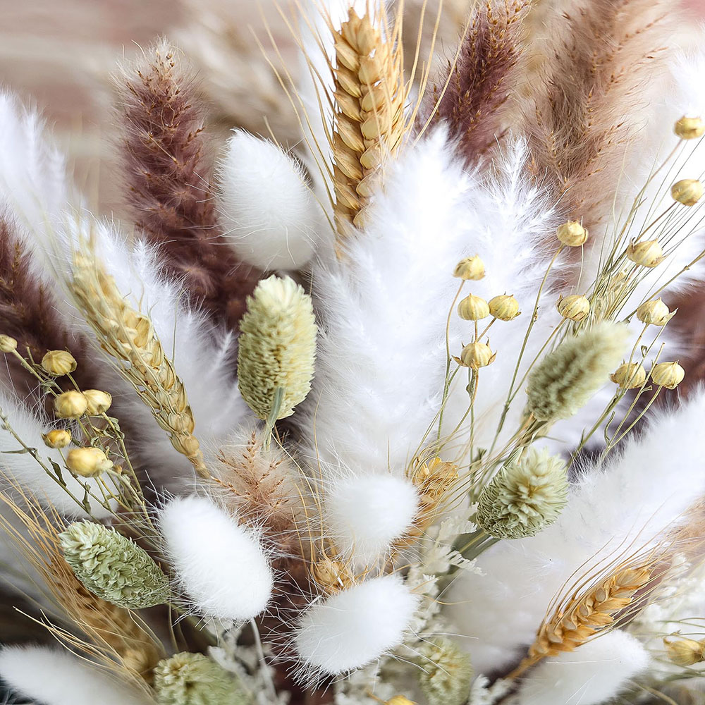 100 pezzi di erba di pampa ess - Dried Pampas Bundle recensione e prezzo