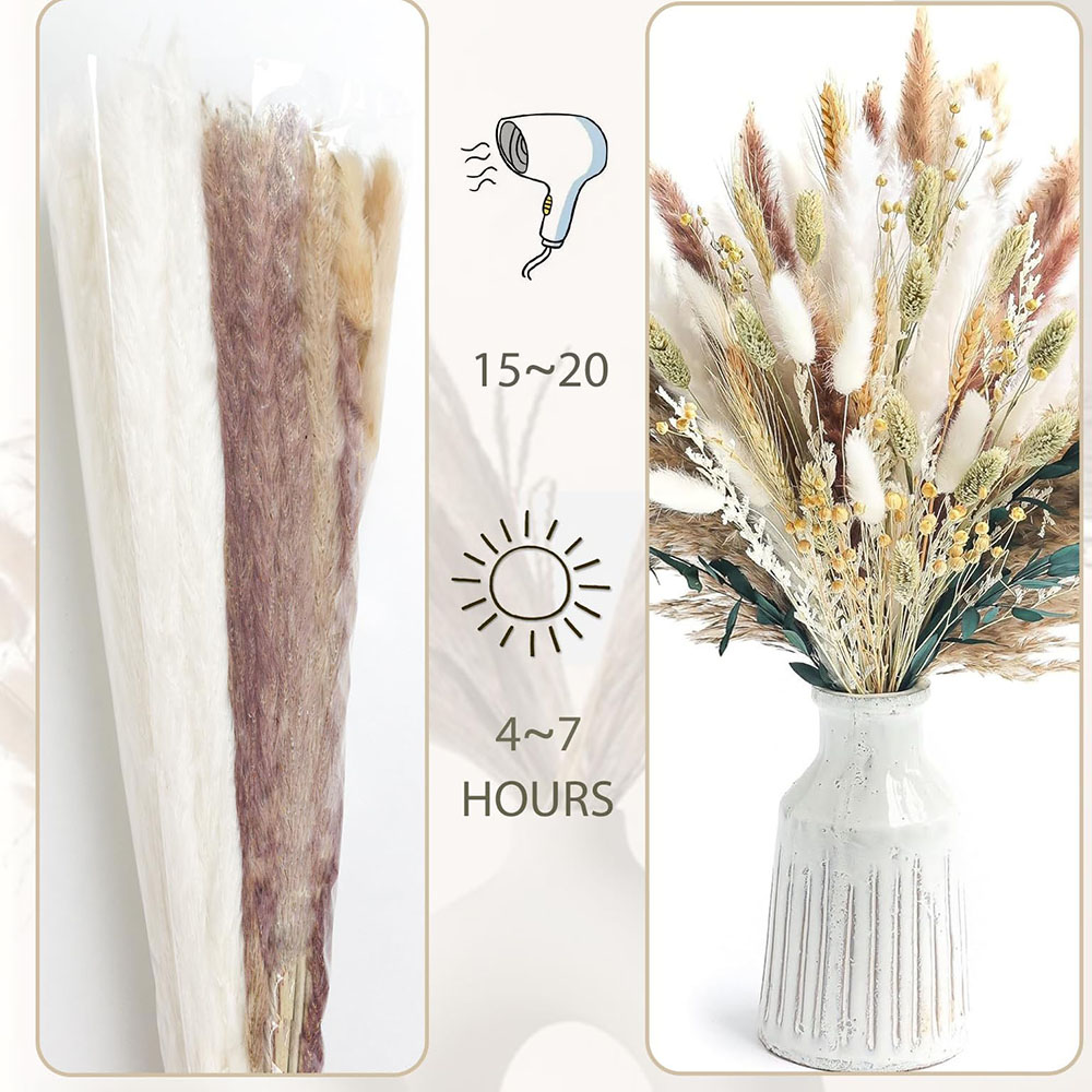 100 pezzi di erba di pampa ess - Dried Pampas Bundle recensione e prezzo