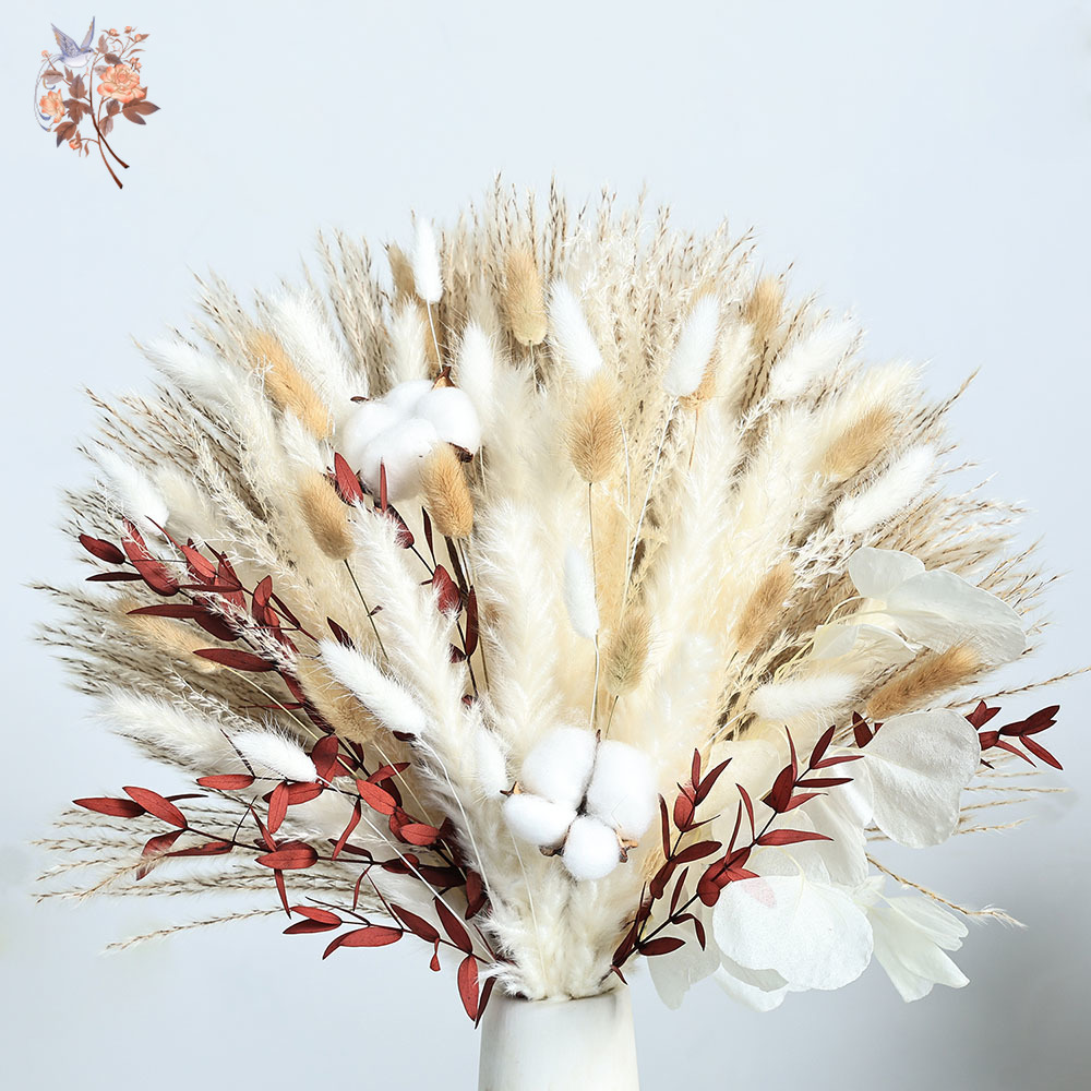 70 pezzi di fiori di pampa sec - Dried Pampas Bundle recensione e prezzo