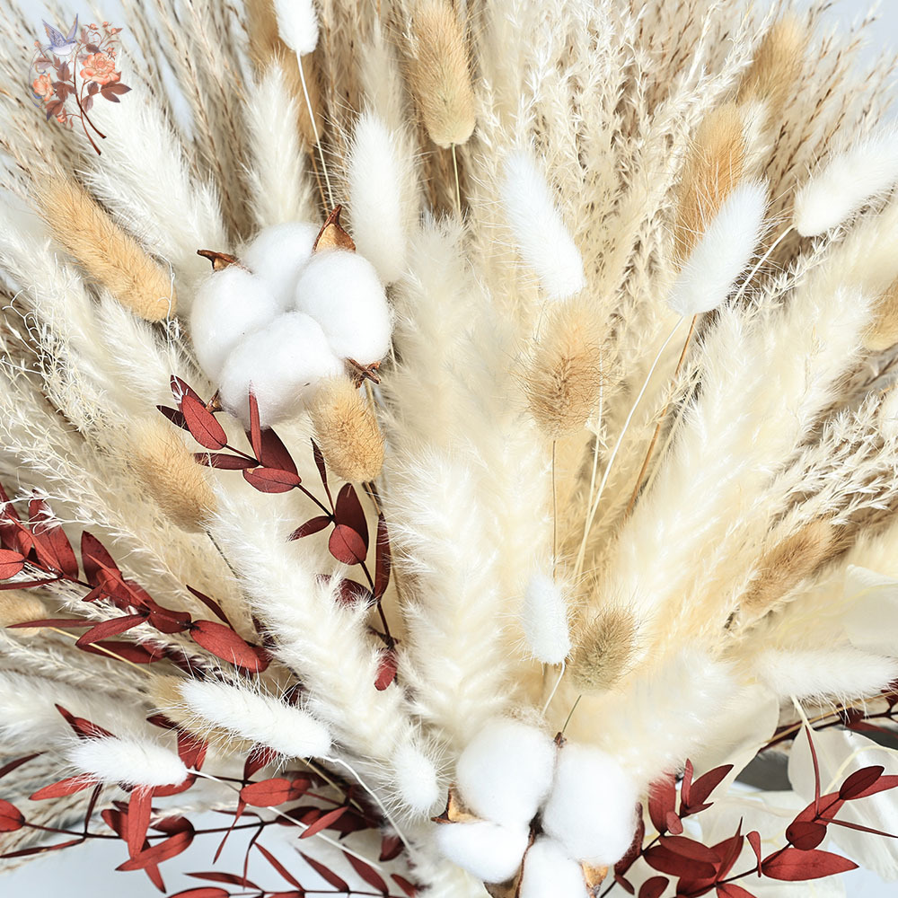70 pezzi di fiori di pampa sec - Dried Pampas Bundle recensione e prezzo