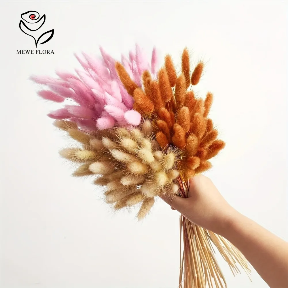 90 pezzi misti 3 colori coda d - Dried Pampas Bundle recensione e prezzo