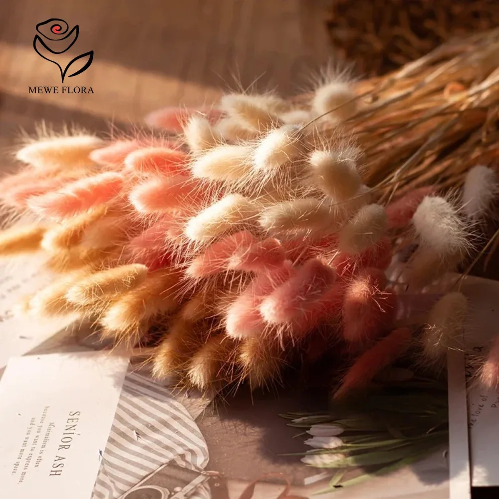 90 pezzi misti 3 colori coda d - Dried Pampas Bundle recensione e prezzo