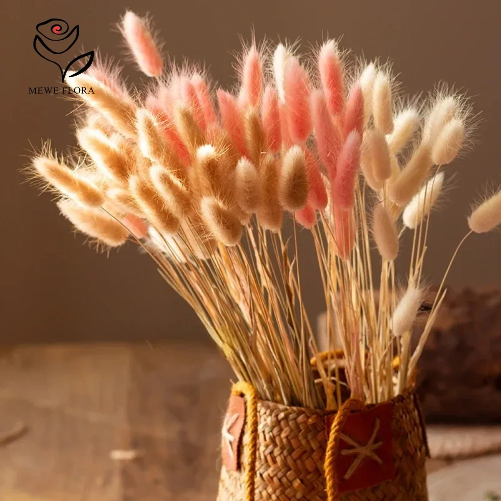 90 pezzi misti 3 colori coda d - Dried Pampas Bundle recensione e prezzo