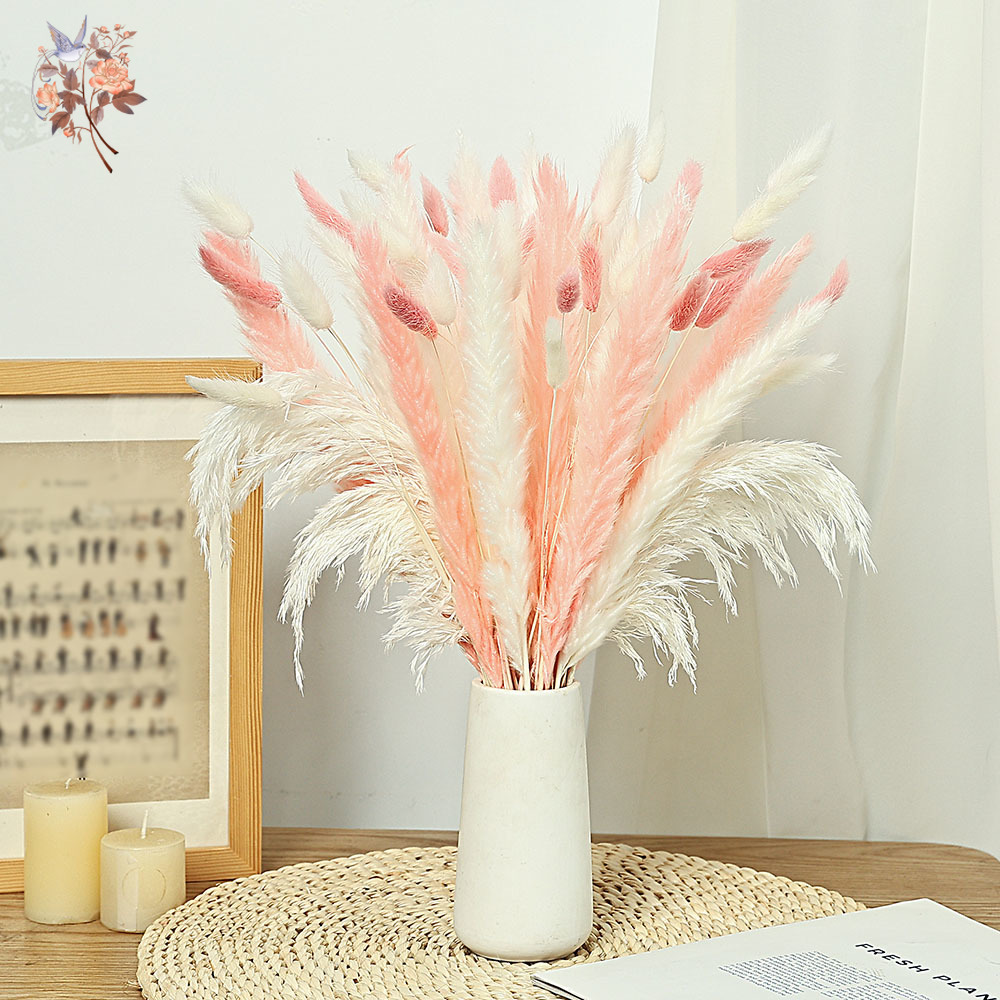 62 Pezzi Ance Bianche Code di  - Dried Pampas Bundle recensione e prezzo