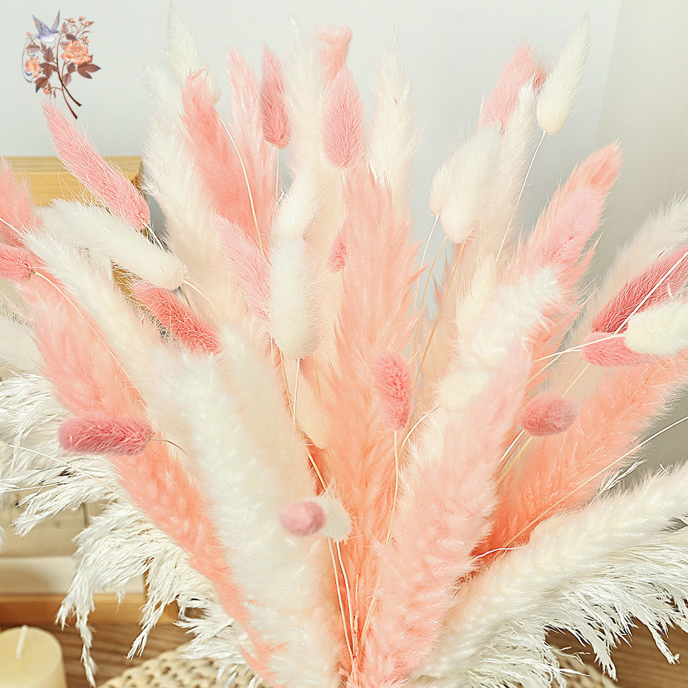 62 Pezzi Ance Bianche Code di  - Dried Pampas Bundle recensione e prezzo