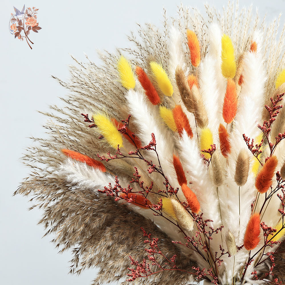 85 Pezzi Naturale Soffice Autu - Dried Pampas Bundle recensione e prezzo