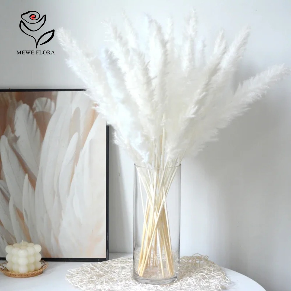 20 Pezzi di Erba della Pampa S - Dried Pampas Bundle recensione e prezzo