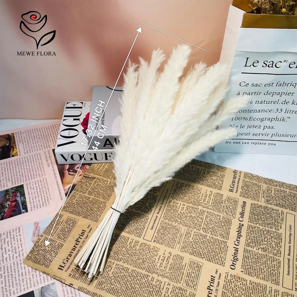 20 Pezzi di Erba della Pampa S - Dried Pampas Bundle recensione e prezzo