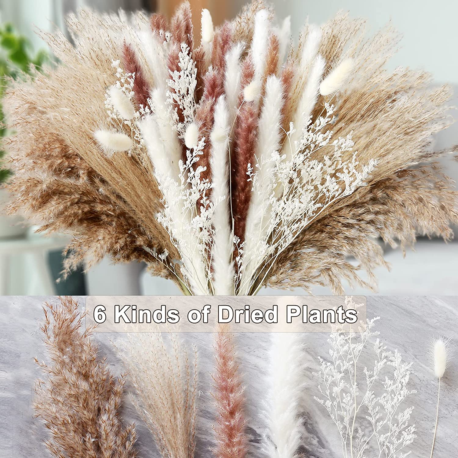 Decorazioni per la casa, piant - Dried Pampas Bundle recensione e prezzo