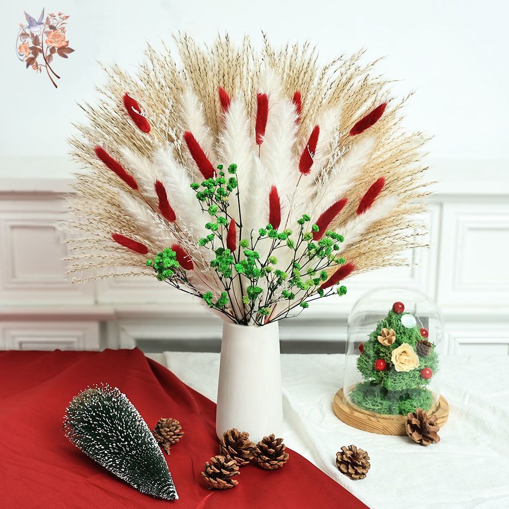 55 pezzi di fiori secchi bouqu - Dried Pampas Bundle recensione e prezzo