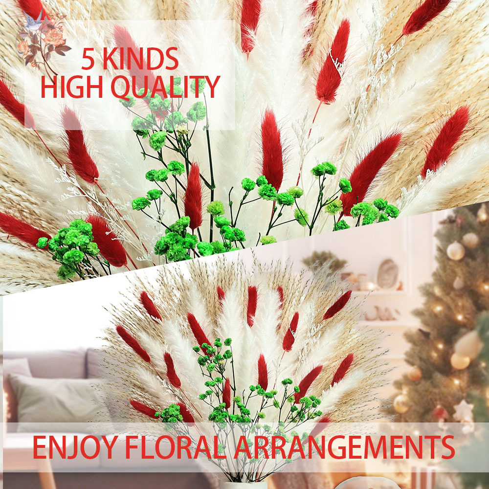55 pezzi di fiori secchi bouqu - Dried Pampas Bundle recensione e prezzo