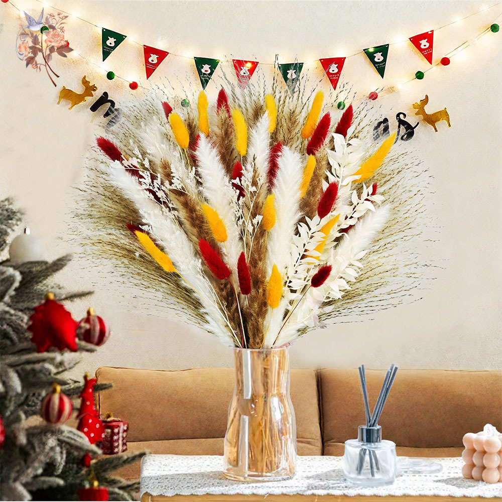 70 steli di erba di pampa soff - Dried Pampas Bundle recensione e prezzo