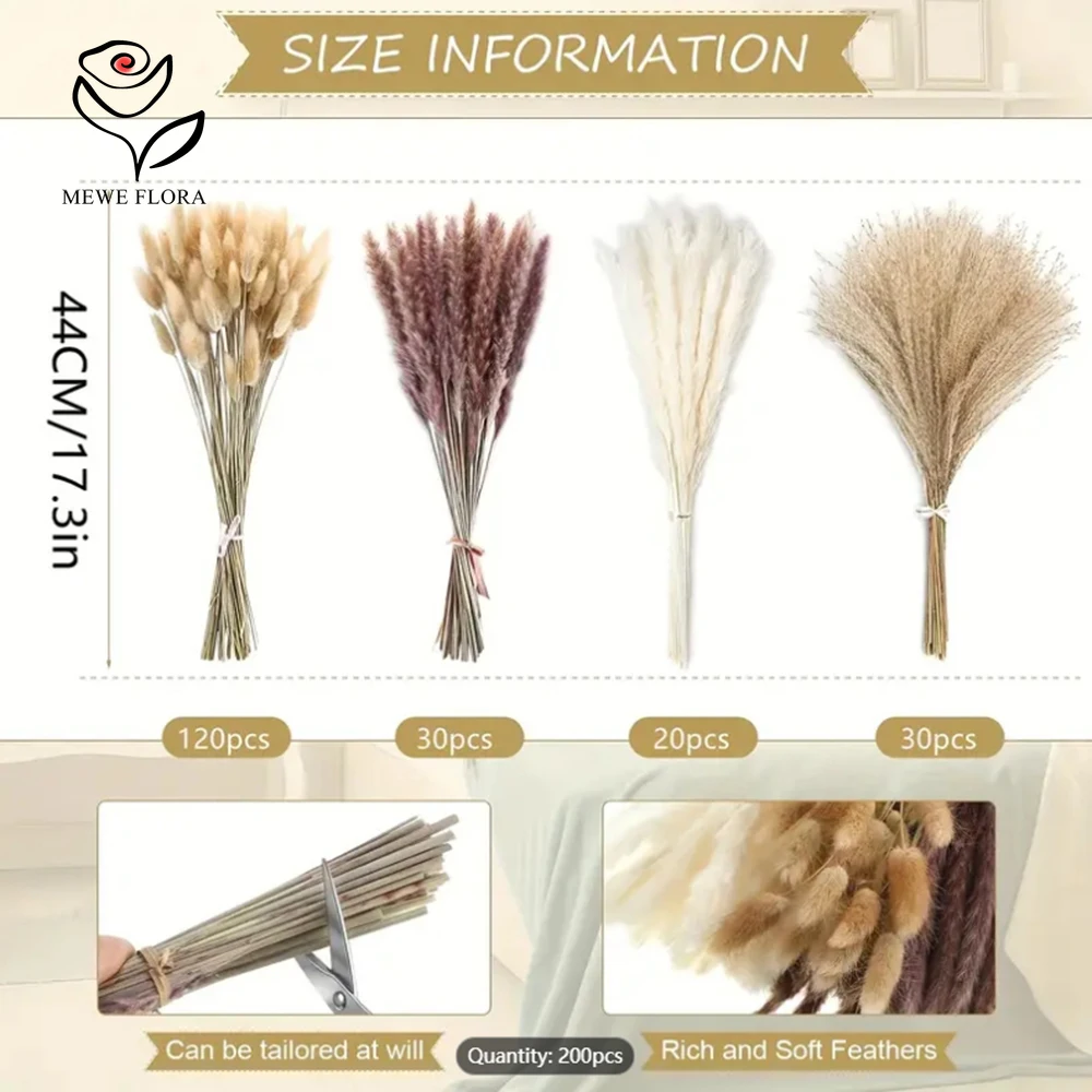 200 pezzi di coda di coniglio  - Dried Pampas Bundle recensione e prezzo