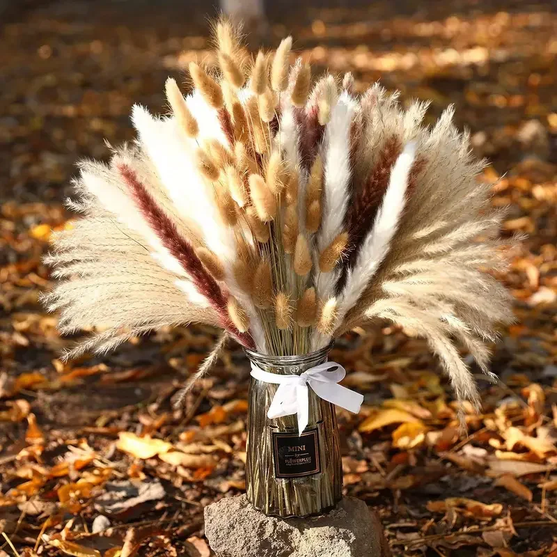 200 pezzi di coda di coniglio  - Dried Pampas Bundle recensione e prezzo